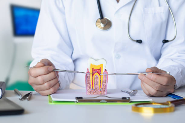 Best Emergency Dental Extractions in Jamestown West, NY
